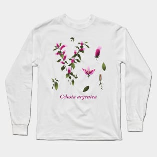 celosia argentea flowers Blume Long Sleeve T-Shirt